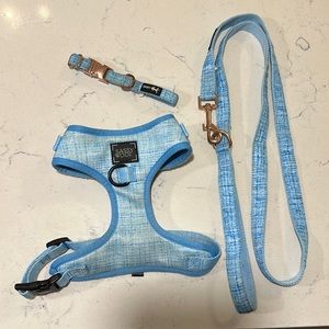 Lease, collar and harness set
